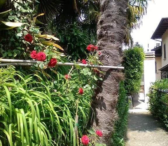 Il Vapore 오게비오